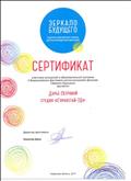 Сертификат участника конкурсной и образовательной программ II Всероссийского фестиваля детско-юношеских фильмов "Зеркало Будущего" (Тюмень, ноябрь 2017)